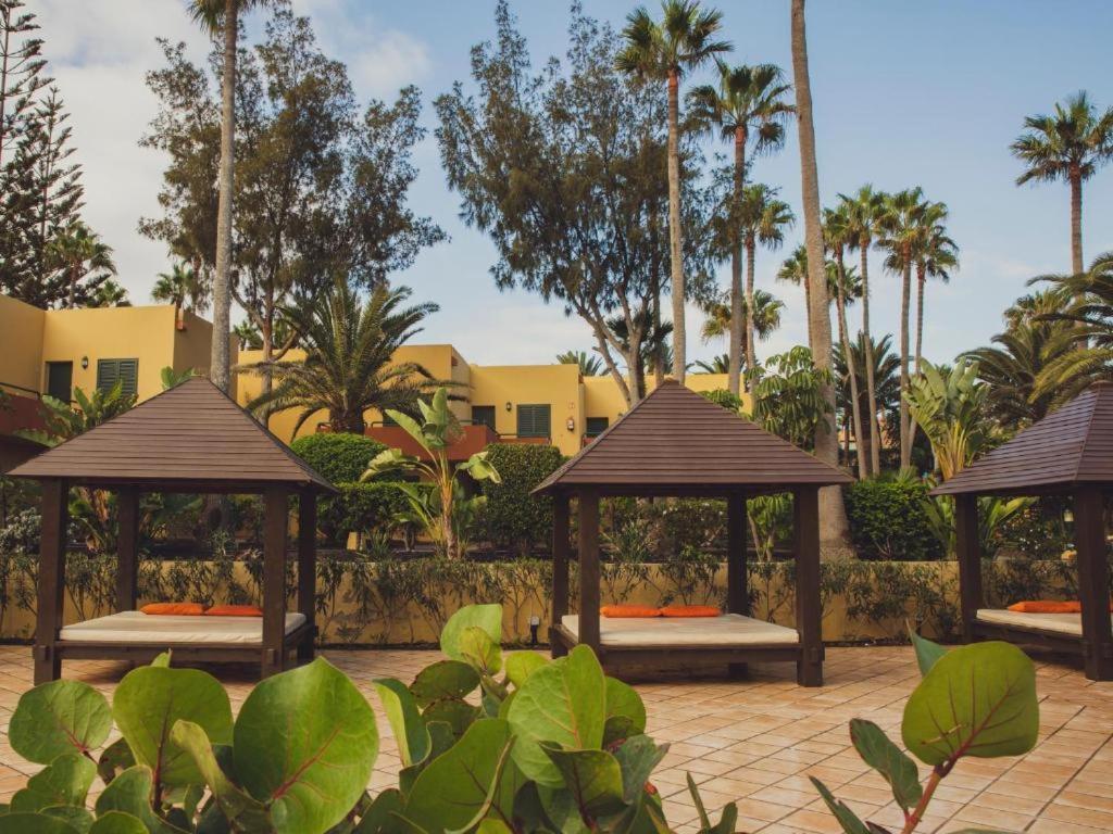 Pachi Beach Atlantic Garden Corralejo Zewnętrze zdjęcie