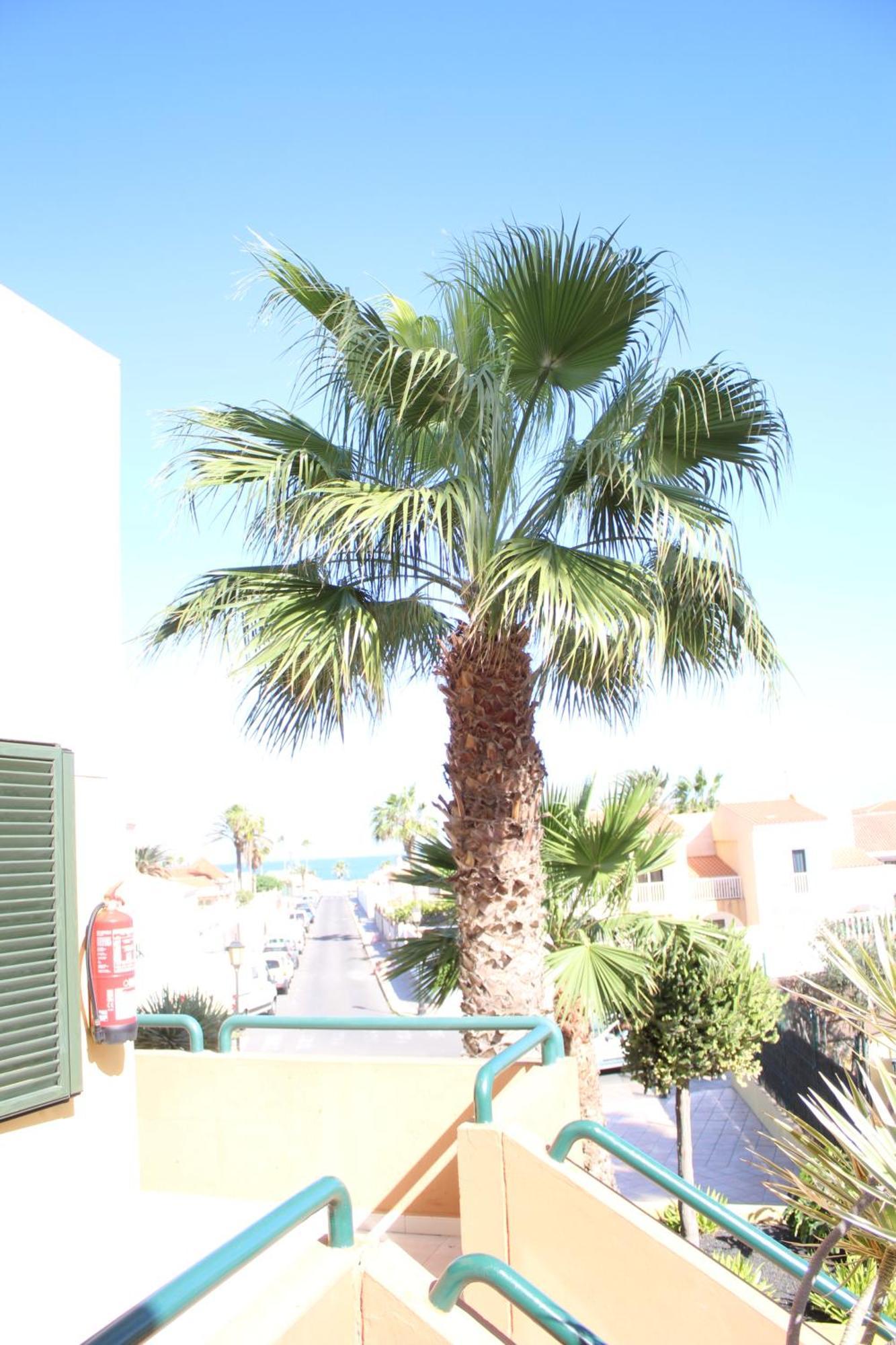 Pachi Beach Atlantic Garden Corralejo Zewnętrze zdjęcie